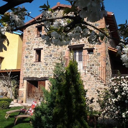 Le Clos Du Merle Bed and Breakfast Savigny  Exterior foto