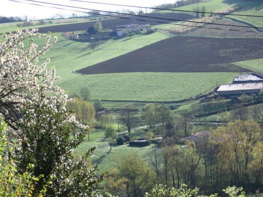 Le Clos Du Merle Bed and Breakfast Savigny  Exterior foto